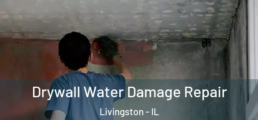  Drywall Water Damage Repair Livingston - IL