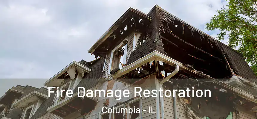 Fire Damage Restoration Columbia - IL