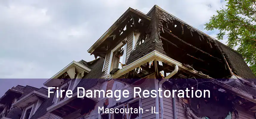  Fire Damage Restoration Mascoutah - IL