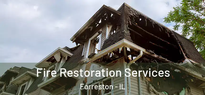 Fire Restoration Services Forreston - IL