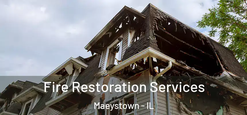  Fire Restoration Services Maeystown - IL