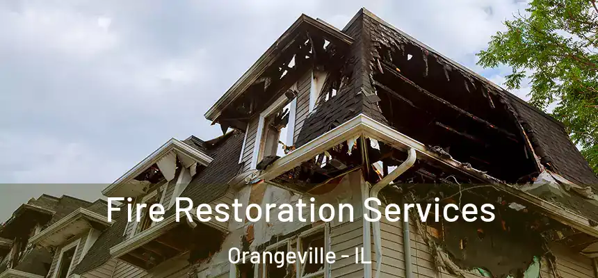  Fire Restoration Services Orangeville - IL