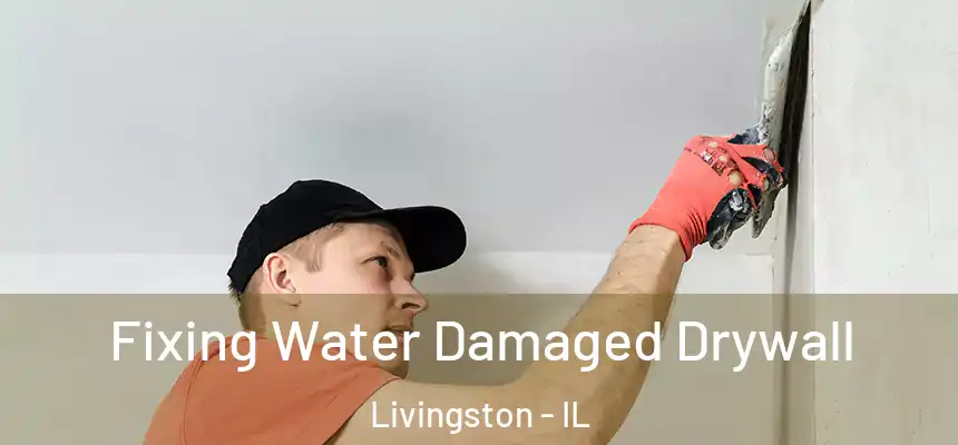  Fixing Water Damaged Drywall Livingston - IL