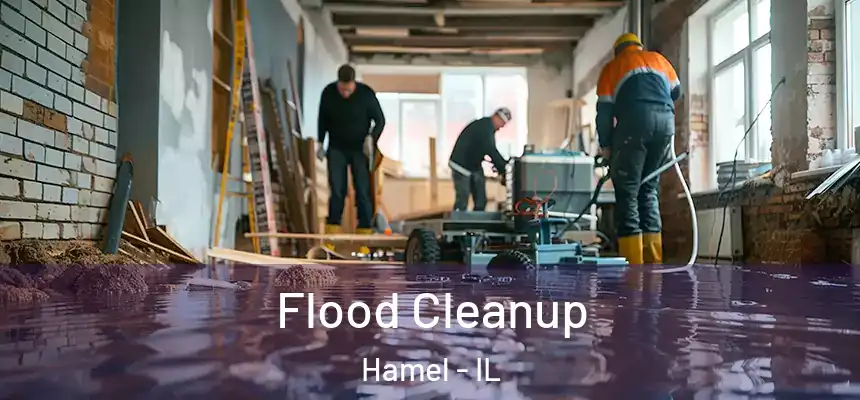 Flood Cleanup Hamel - IL