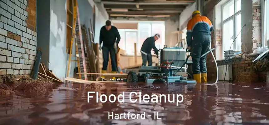  Flood Cleanup Hartford - IL