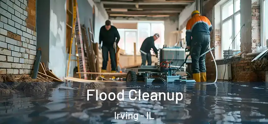 Flood Cleanup Irving - IL