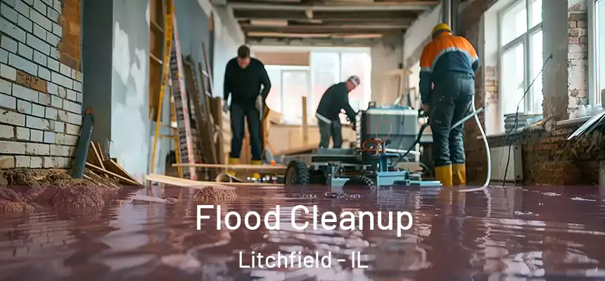 Flood Cleanup Litchfield - IL