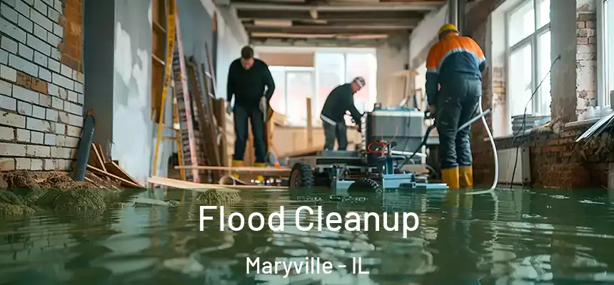 Flood Cleanup Maryville - IL