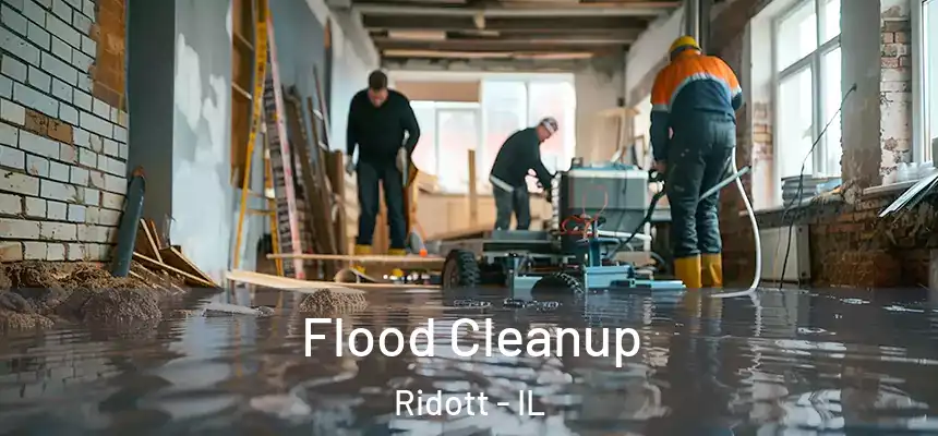  Flood Cleanup Ridott - IL