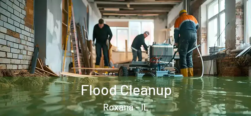  Flood Cleanup Roxana - IL