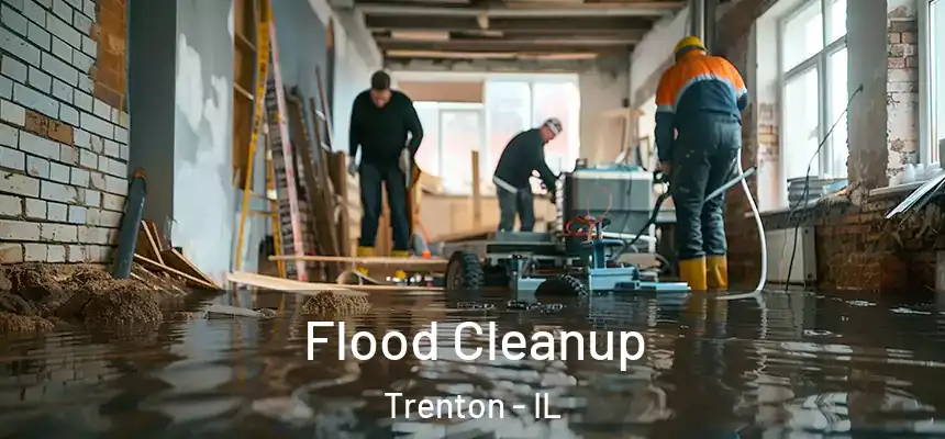 Flood Cleanup Trenton - IL