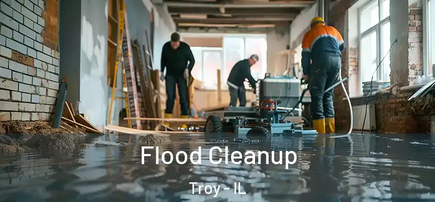  Flood Cleanup Troy - IL