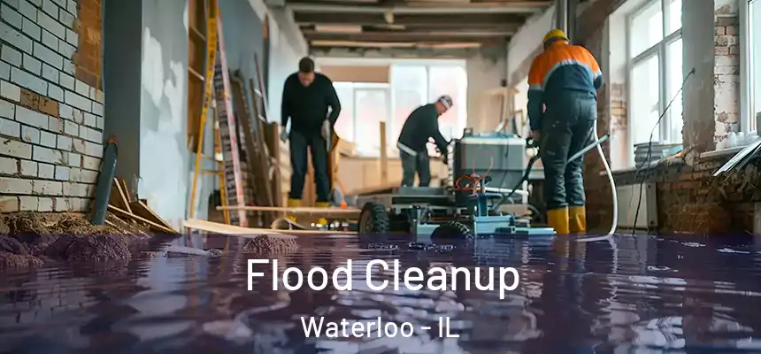  Flood Cleanup Waterloo - IL