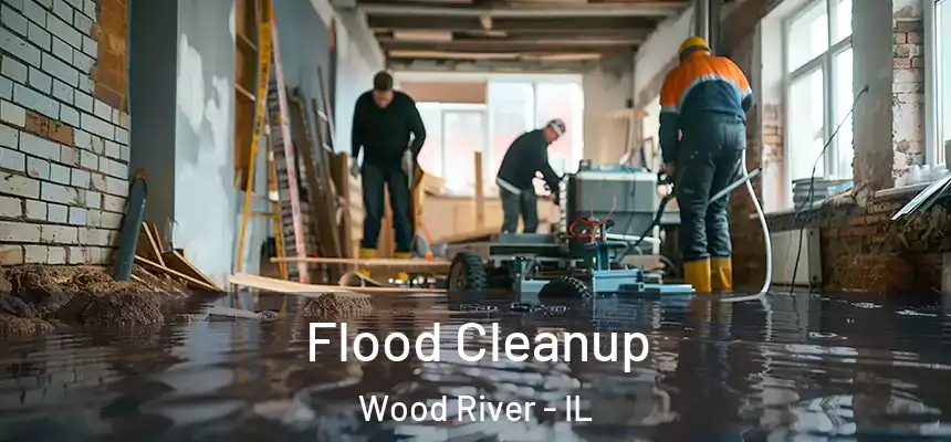  Flood Cleanup Wood River - IL