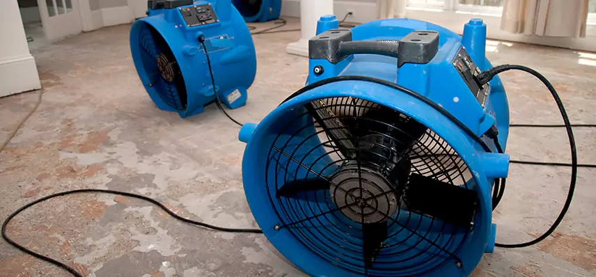 Water Leak Mitigation in Livingston