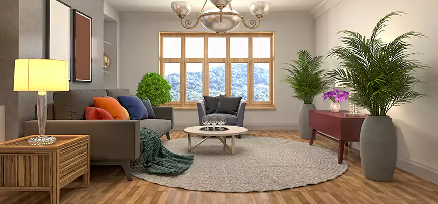 Local Water Mitigation in Livingston