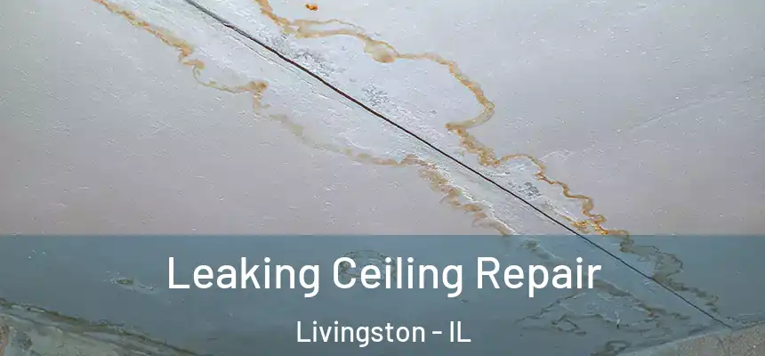  Leaking Ceiling Repair Livingston - IL
