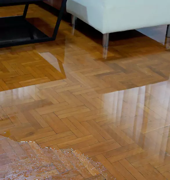 Trusted Emergency Water Restoration Company in Livingston, IL