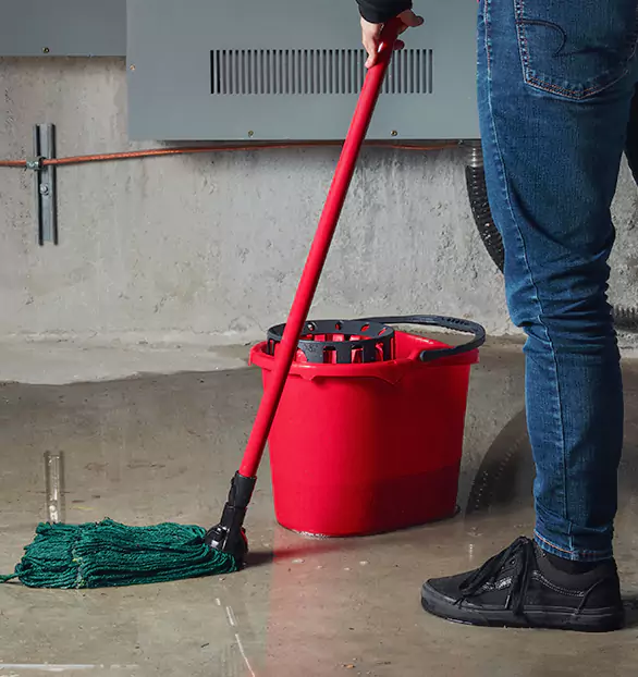 Trusted Sewage Cleanup Company in Livingston, IL