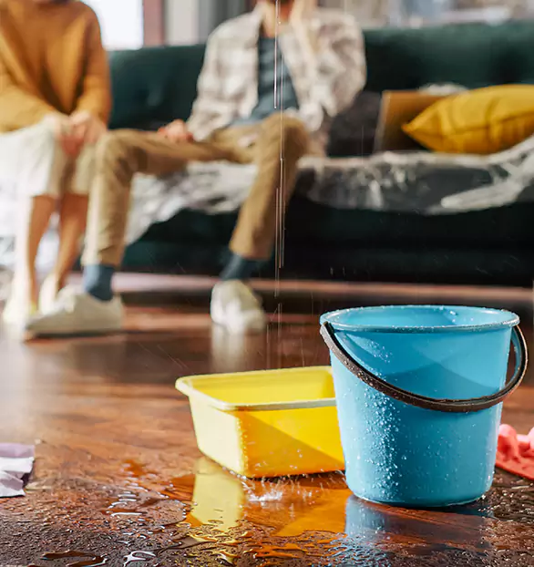 Reliable Water Mitigation Company in Livingston, IL