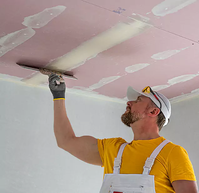  Why Choose Vanguard Restoration Pros for Leaking Ceiling Repair in Livingston, IL?
