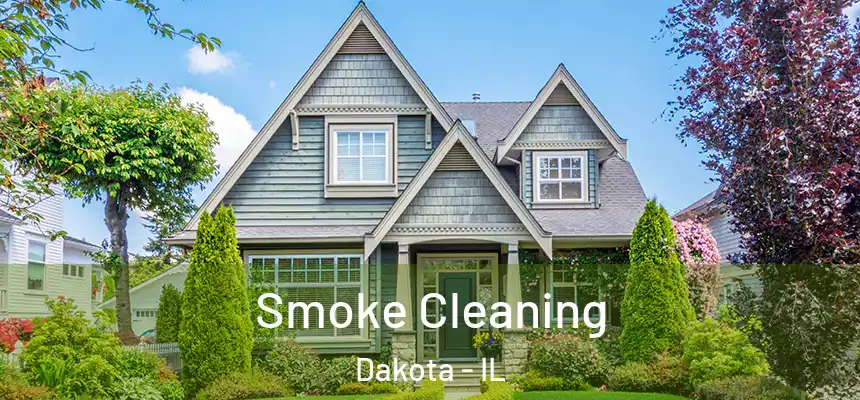  Smoke Cleaning Dakota - IL