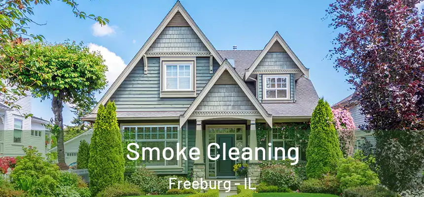  Smoke Cleaning Freeburg - IL