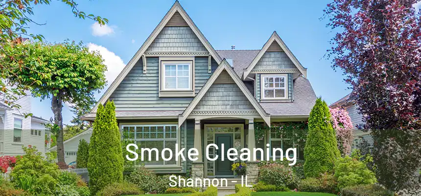 Smoke Cleaning Shannon - IL