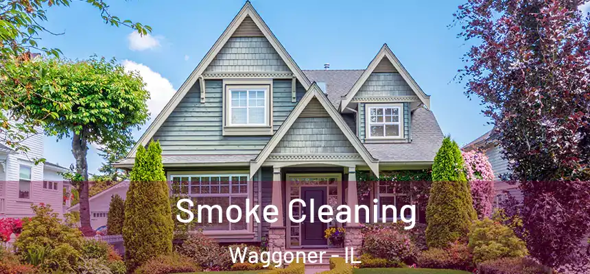  Smoke Cleaning Waggoner - IL