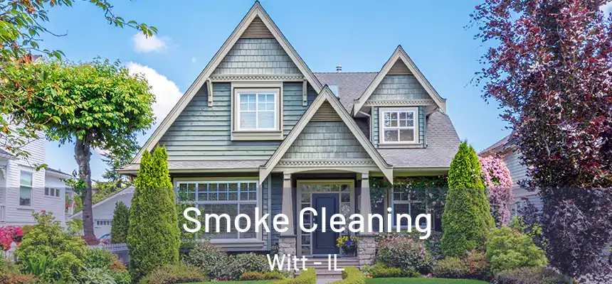  Smoke Cleaning Witt - IL