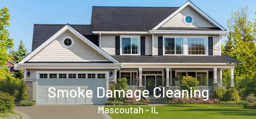 Smoke Damage Cleaning Mascoutah - IL