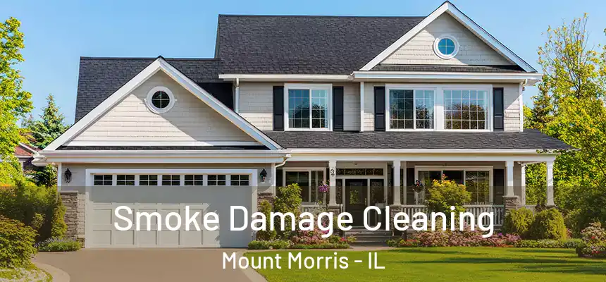  Smoke Damage Cleaning Mount Morris - IL