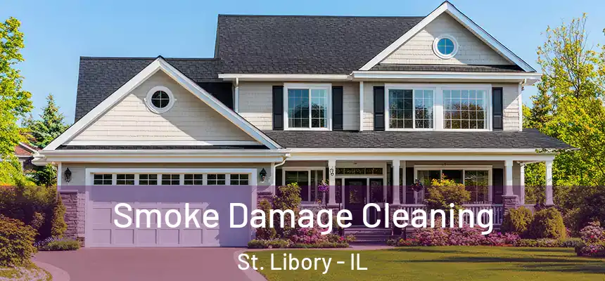  Smoke Damage Cleaning St. Libory - IL