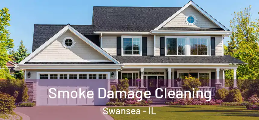  Smoke Damage Cleaning Swansea - IL