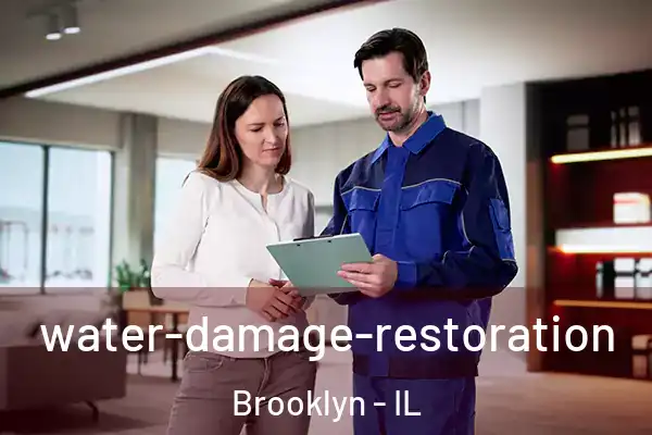  water-damage-restoration Brooklyn - IL